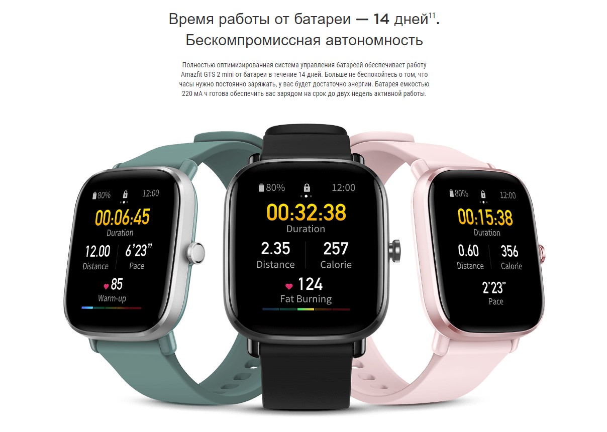 Amazfit gts mini