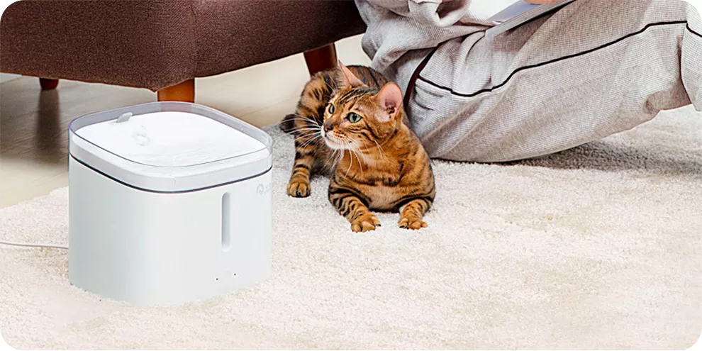 Xiaomi pet water dispenser. Дозатор воды для животных Xiaomi Kitten&Puppy Water Dispenser. Поилка для домашних животных Xiaomi Pet Water Dispenser MG-wf001. Дозатор воды для животных Kitten&Puppy Water Dispenser MG-wf001 (White). Поилка для домашних животных Xiaomi Kitten & Puppy.