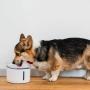 Автопоилка для животных Xiaomi Smart Pet Fountain Petoneer Fresco Mini Plus (WF004) Белый
