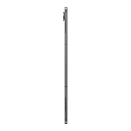 Samsung Galaxy Tab S12 Ultra 5G+Wi-Fi 12/256Gb Gray, серый