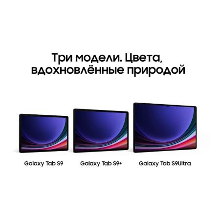 Samsung Galaxy Tab S9 Ultra 14,6" Wi-Fi 12/512Gb Beige, бежевый