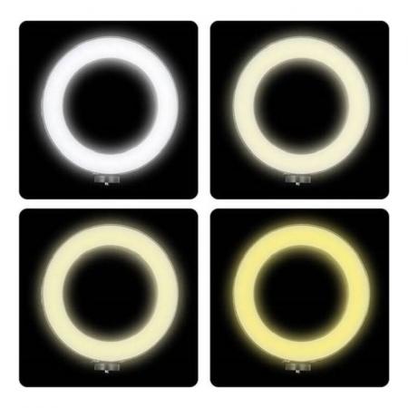 Селфи кольцо 26 см 10“ SL- 26E с держателем, без штатива (IS123122) Селфи кольцо 26 см 10“ SL- 26E с держателем, без штатива (IS123122)