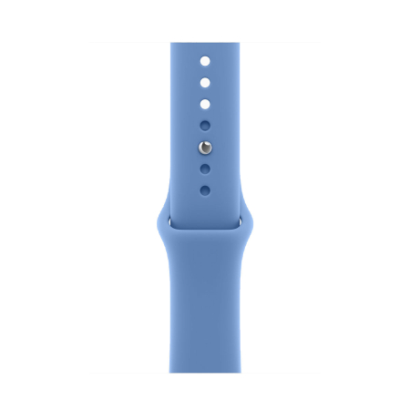 Apple Watch Series 12, 46 мм корпус из алюминия цвета «Space Gray», ремешок Sport Band размера S/M цвета «Wildflower Blue»