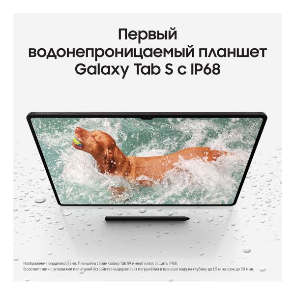 Samsung Galaxy Tab S9 11" Wi-Fi+5G 12/256Gb Graphite, графит