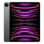 Apple iPad Pro 12,9" (M2, 2022, 6 gen) Wi-Fi + Cellular 128Gb Space Gray, «серый космос» Apple iPad Pro 12,9" (M2, 2022, 6 gen) Wi-Fi + Cellular 128Gb Space Gray, «серый космос»