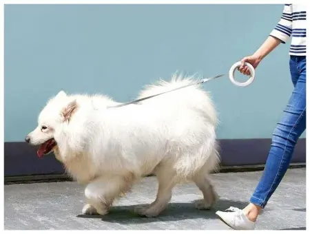 Поводок Xiaomi Moemaster UFO Retractable Leash 2 Plus, 3 м Серый