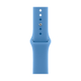 Apple Watch Series 12, 42 мм корпус из алюминия цвета «Space Gray», ремешок Sport Band размера M/L цвета «Wildflower Blue»